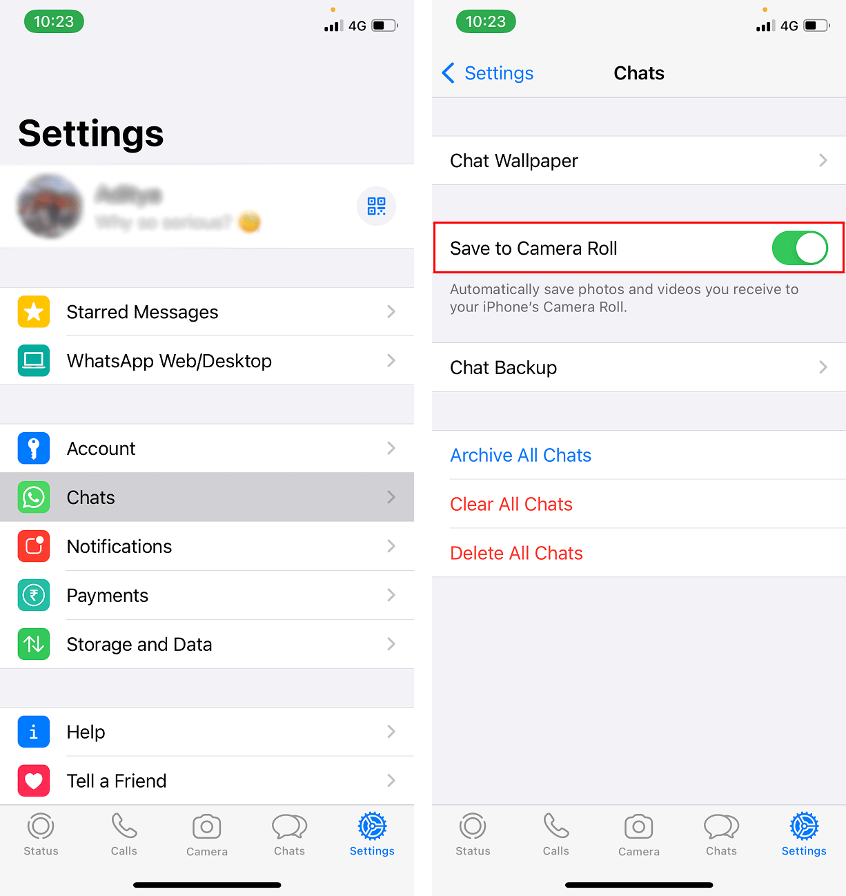 Appuyez sur Chats puis sur Enregistrer dans la pellicule