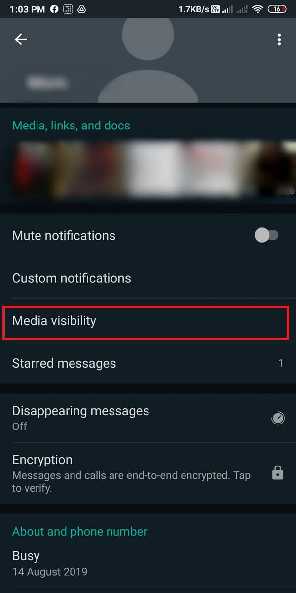 Appuyez sur Visibilité média.