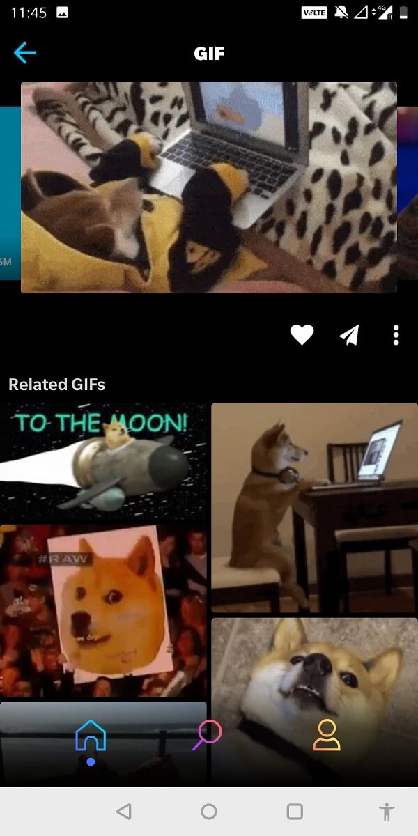 Une fois que vous avez trouvé le GIF de votre choix, appuyez sur les trois points en dessous et un menu s'affichera en bas.