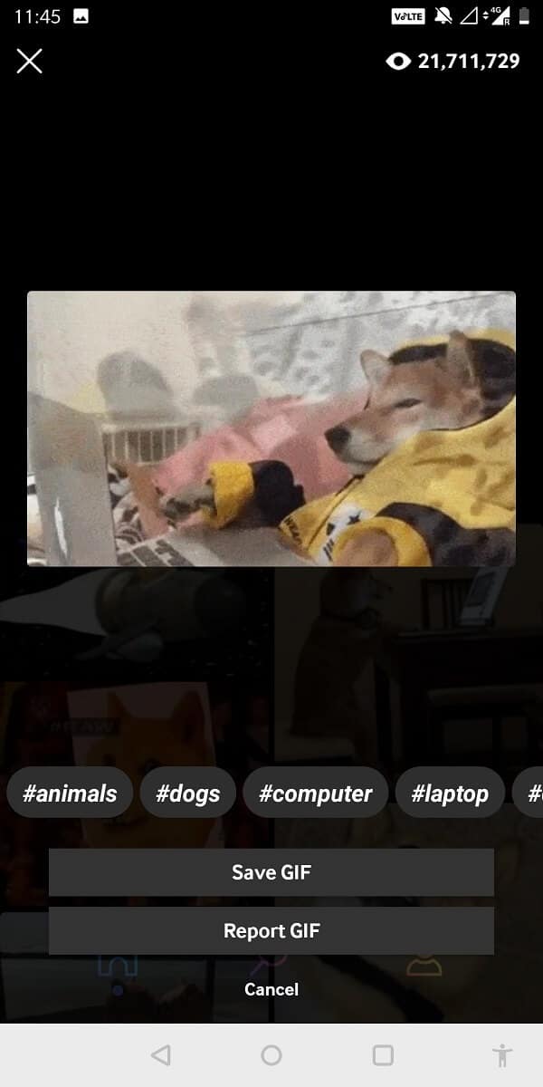 Dans le menu, sélectionnez Enregistrer GIF.