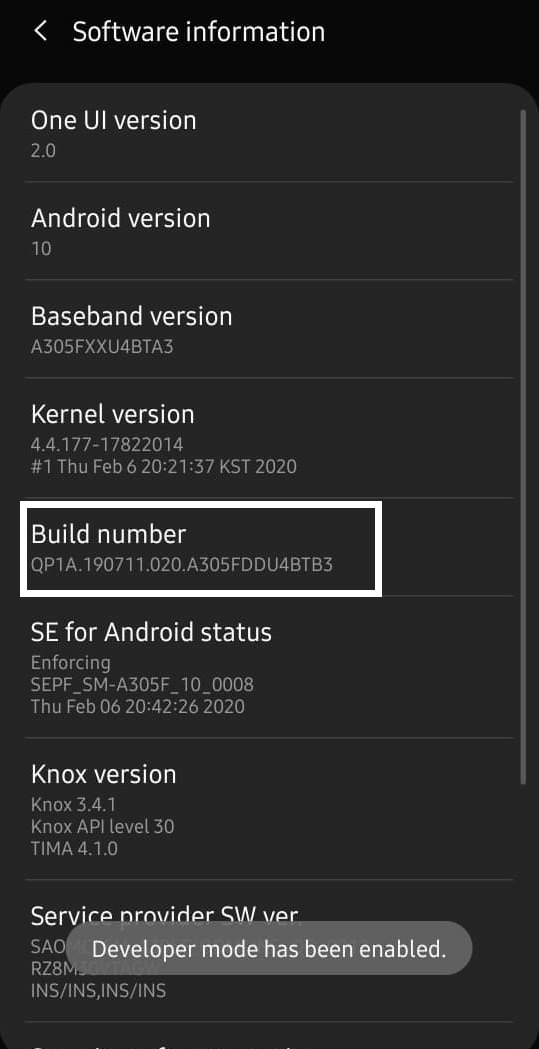 Localisez le numéro de build | Comment activer l'enregistreur d'écran intégré sur Android 10