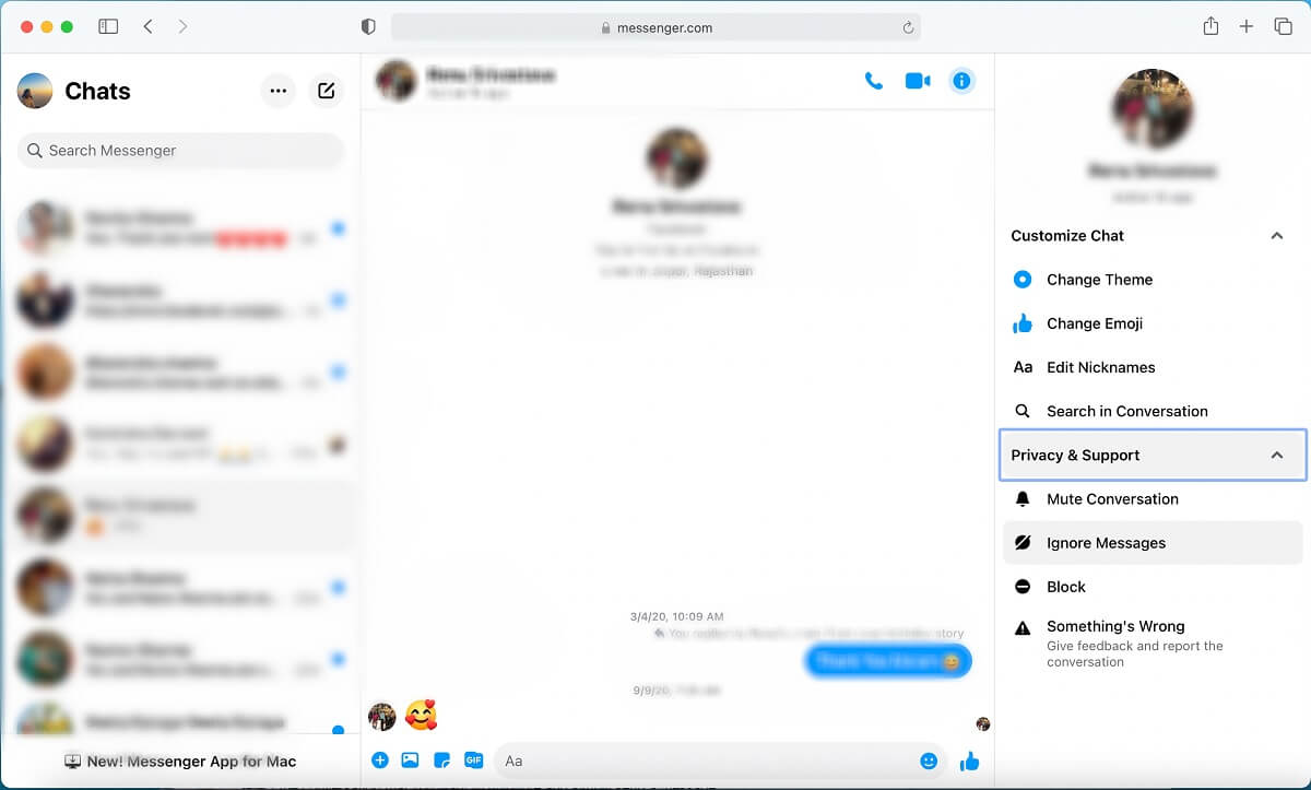 Dari opsi, pilih privasi dan dukungan. | Cara Mengabaikan dan Mengabaikan Pesan di Messenger