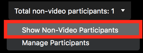 cliquez sur "Afficher les participants non vidéo".