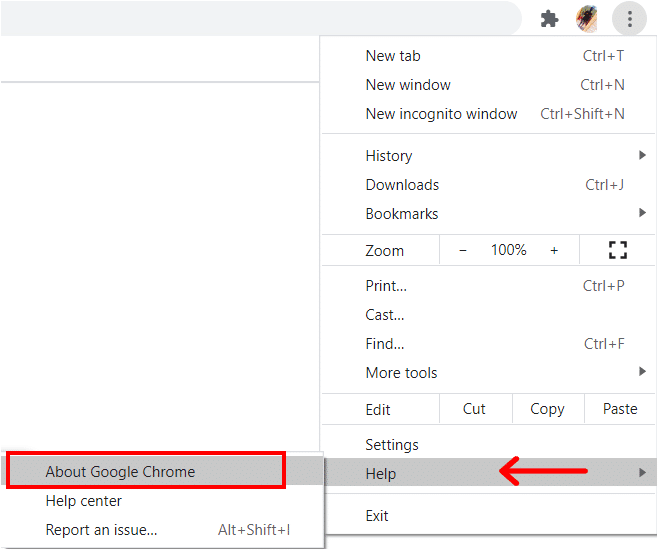 vai a Guida su Google Chrome. | Risolto il problema con Chrome che non si connetteva a Internet