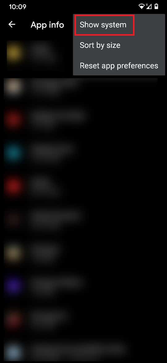 Din cele trei opțiuni, apăsați pe Afișare sistem | Cum să ștergeți cuvintele învățate de pe tastatură pe Android