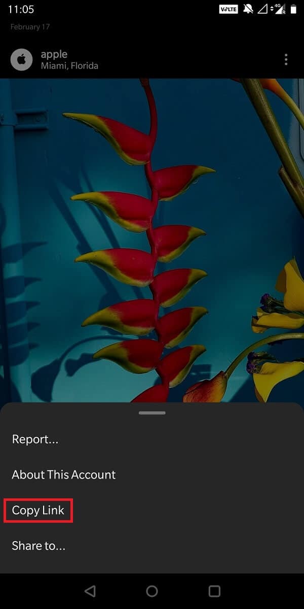 În partea dreaptă a ecranului, veți vedea trei puncte. Atingeți aceste puncte și, din meniu, selectați „Copiați linkul”. | Cum să copiați subtitrările Instagram, comentariile și biografia