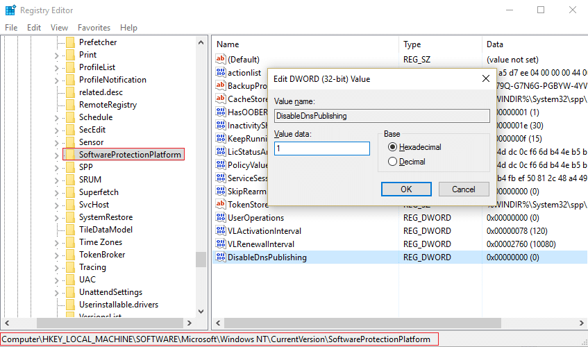 LogicielProtectionPlateforme DiableDnsPublishing