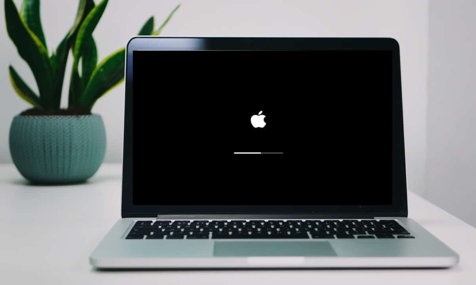 Macソフトウェアアップデートのインストールのスタックを修正
