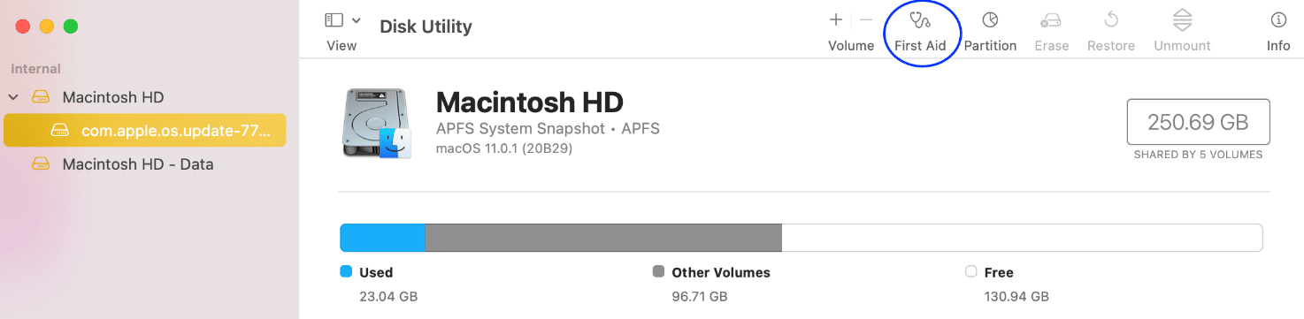 ilk yardıma tıklayın. MacOS Big Sur, Macintosh HD'ye yüklenemez