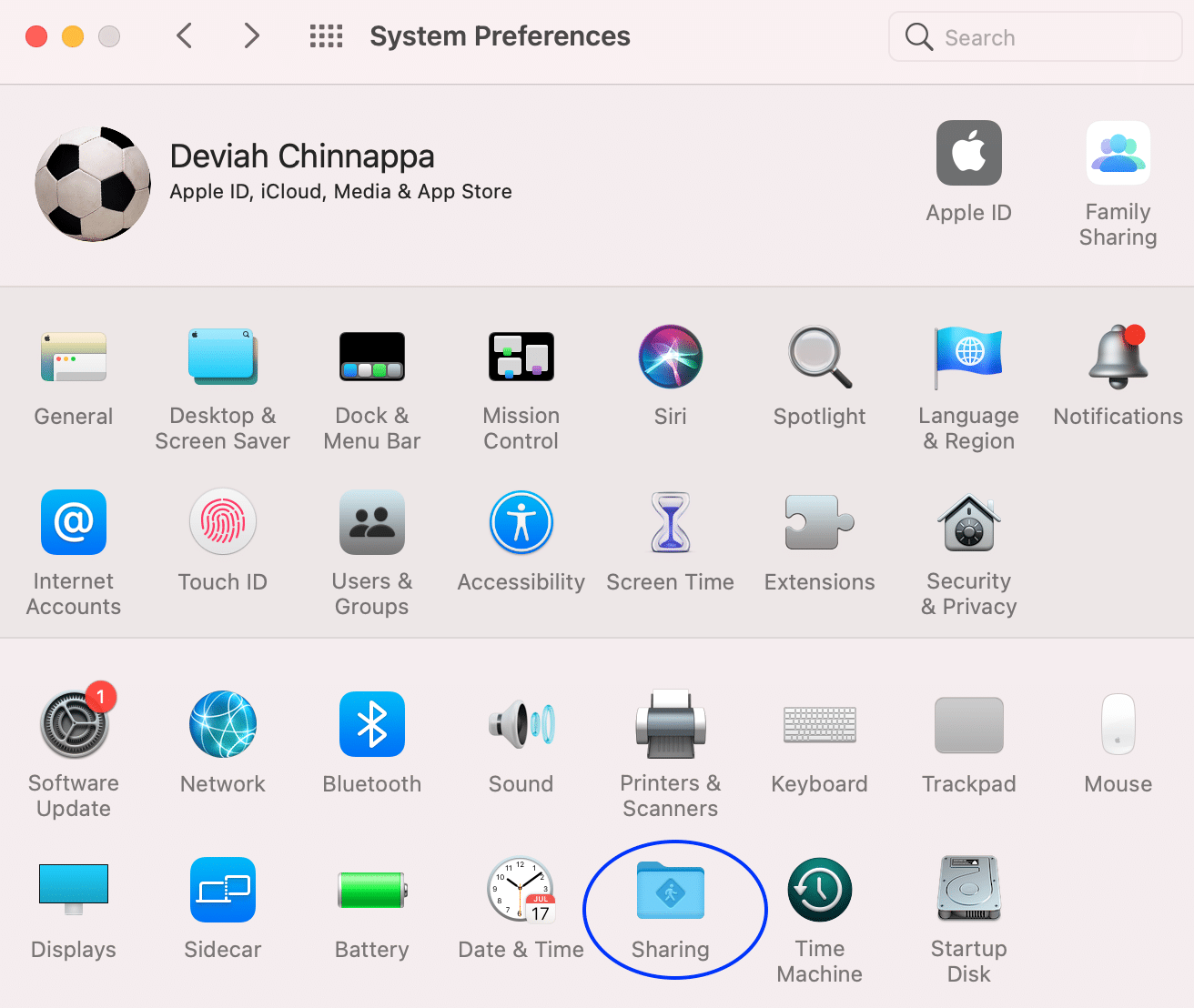 共有オプションをクリックします
