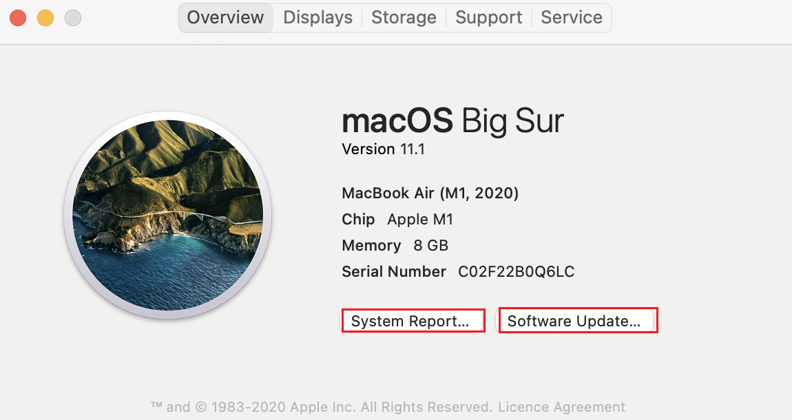 Sistem Raporu'na tıklayın ve ardından Yazılım bölümüne geçin. macOS Big Sur uyumluluğunu düzeltin