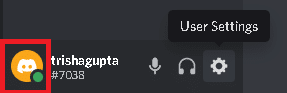 Discord Avatarı sol alt köşede