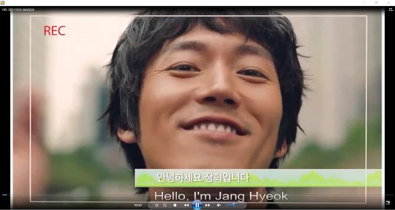 Sekarang Anda melihat subtitle di bagian bawah video.