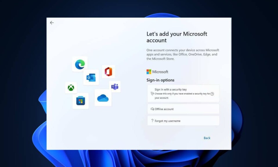 如何在 Windows 11 中創建本地帳戶