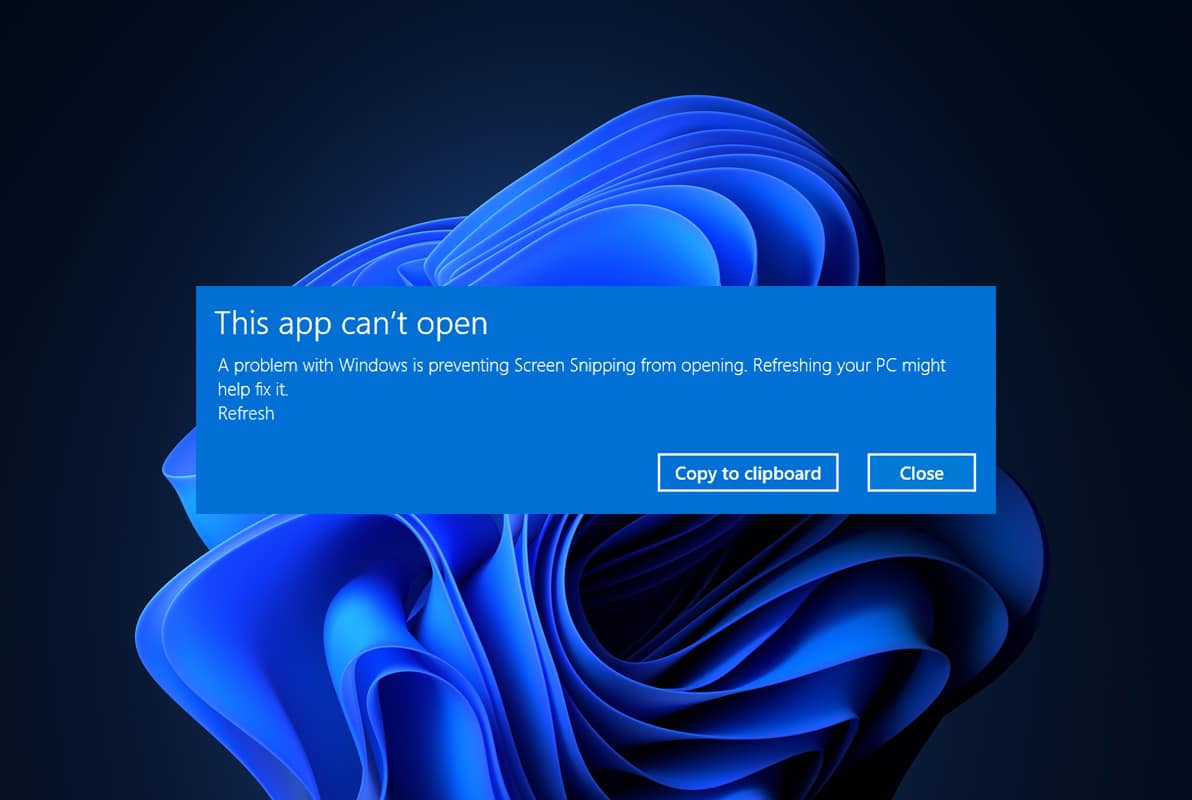 Cómo arreglar la aplicación no se puede abrir en Windows 11