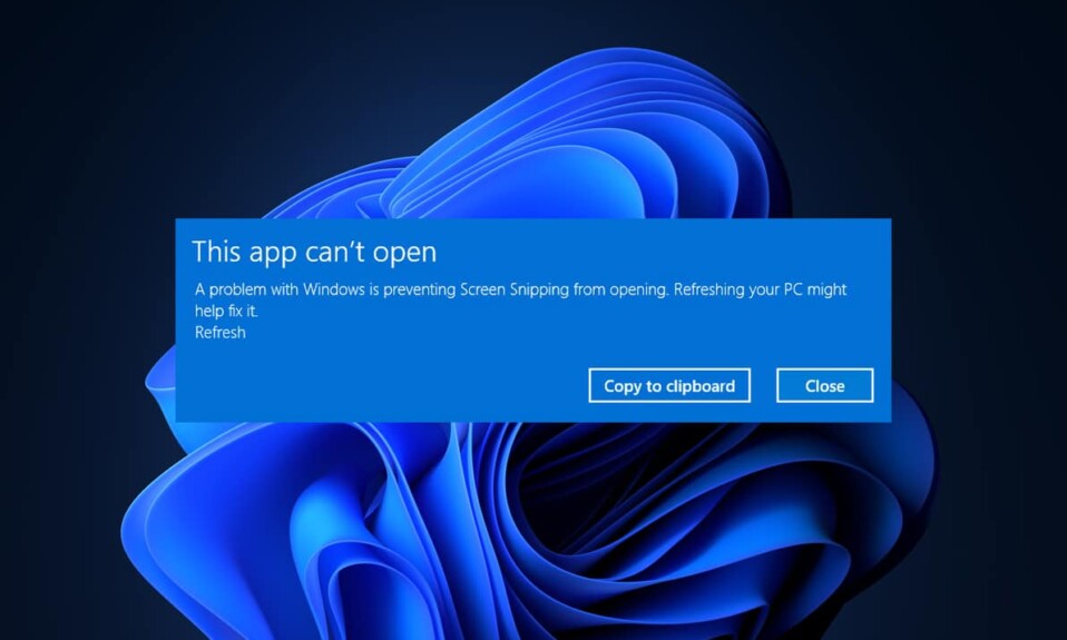Cómo arreglar la aplicación no se puede abrir en Windows 11