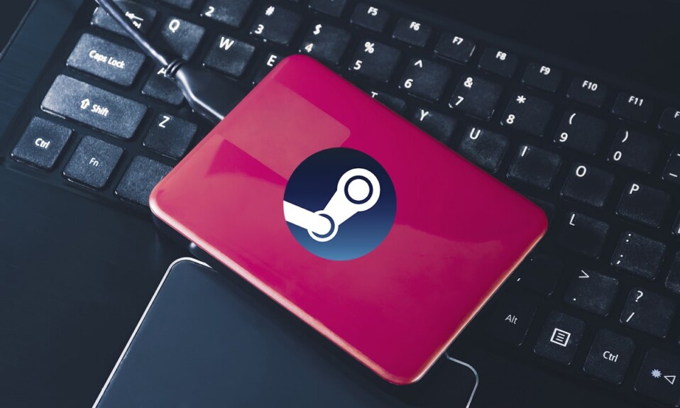 Cara Mencadangkan Game Steam