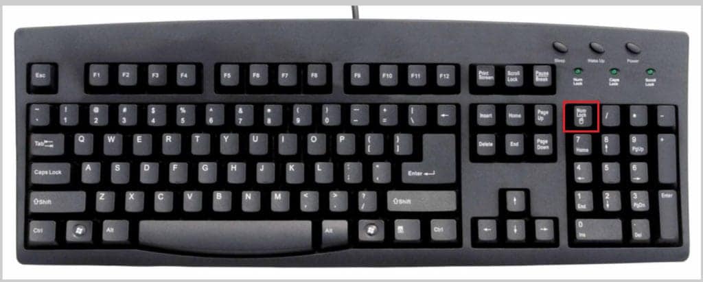キーボードのnumキーをオンにします。チルダAltコードでnを入力する方法