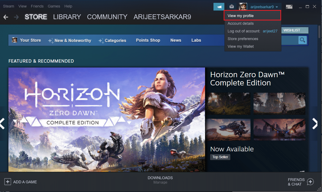 klik lihat opsi profil saya di aplikasi Steam