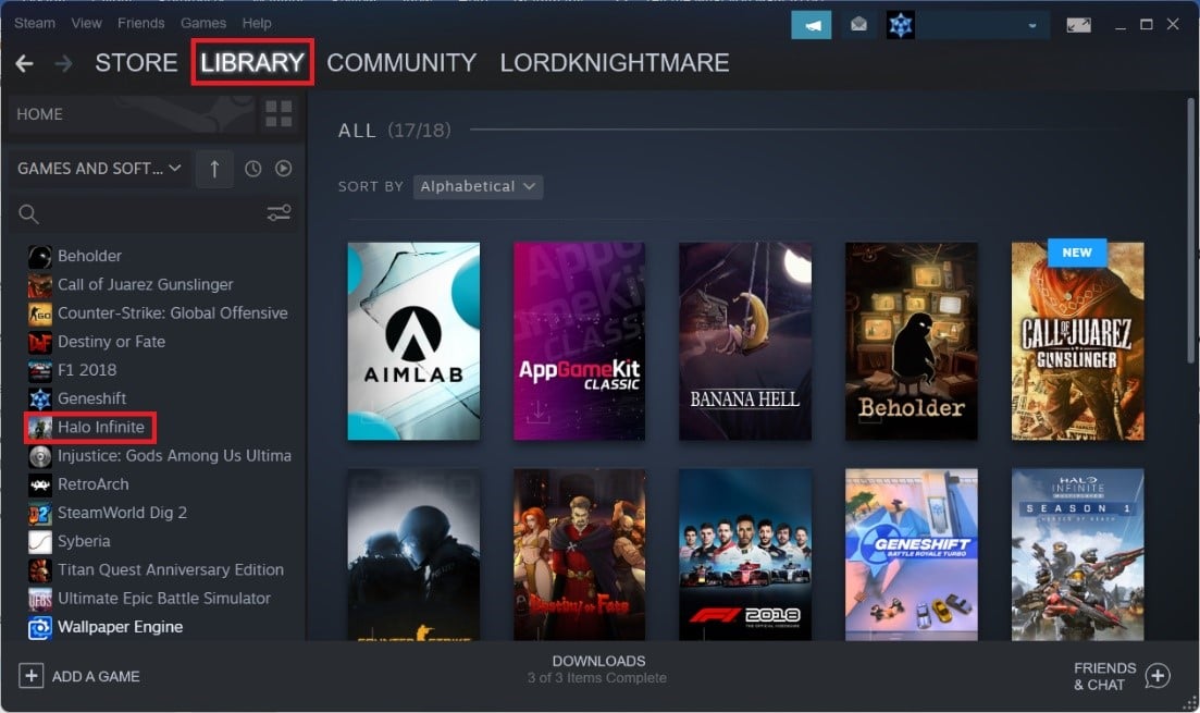 轉到 Steam 庫菜單並選擇 Halo Infinite 遊戲 Windows 11