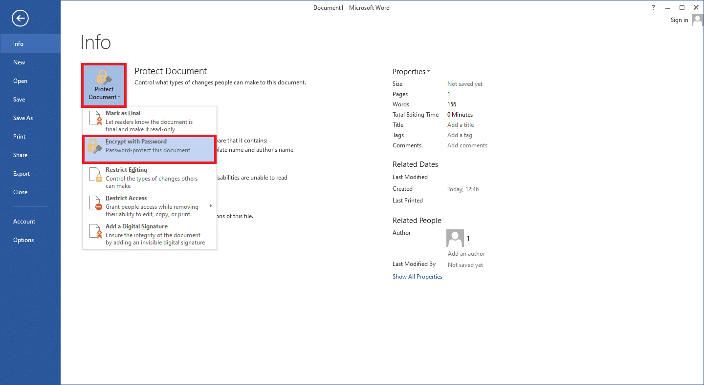 Buka tab Info, klik Lindungi Dokumen. Dari daftar dropdown, pilih Encrypt with Password.