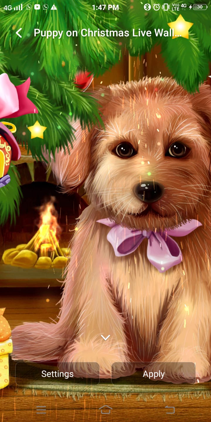 Wallpaper Animasi Anak Anjing Natal oleh Wallpaper Animasi 3D