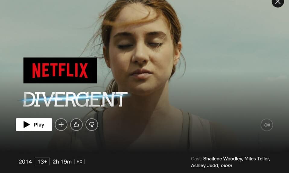 Este Divergent pe Netflix