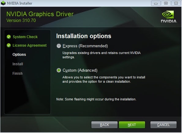 Seleziona Personalizzato durante l'installazione di NVIDIA