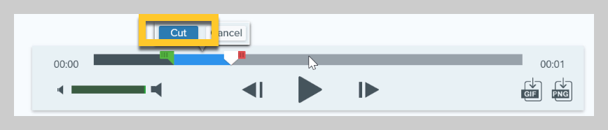 Jak wyciąć nagrywanie ekranu w Snagit