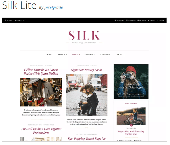thème premium wordpress gratuit Silk Lite