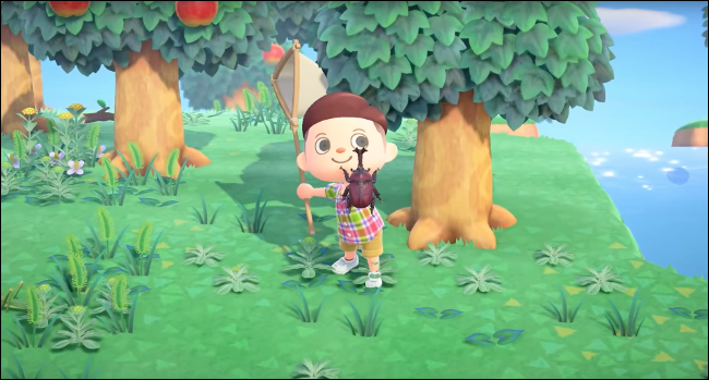 Colectarea de bug-uri în jocul Animal Crossing: New Horizons