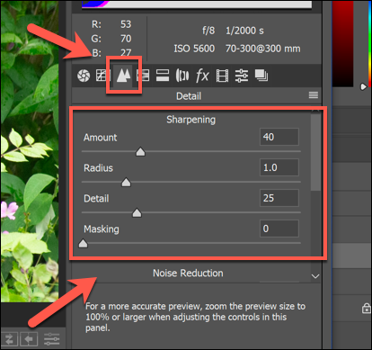 As opções de Nitidez de uma imagem nas opções do Camera Raw no Photoshop