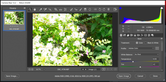 O menu de opções do Photoshop Camera Raw