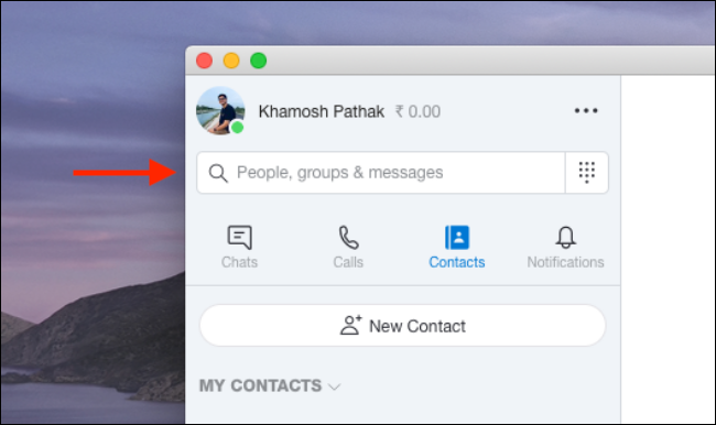 Ketik info kontak di bidang Pencarian di Skype.