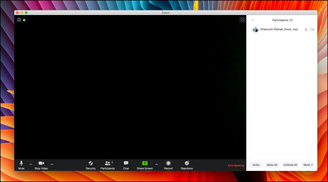 Интерфейс Zoom Call на Mac