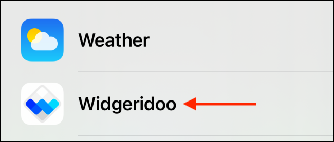 从列表中选择 Widgeridoo