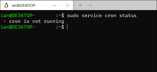 Ein Windows WSL-Terminalfenster, das anzeigt, dass Cron nicht ausgeführt wird.