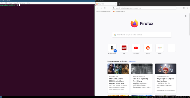 수평 분할이 있는 Firefox 및 터미널 창