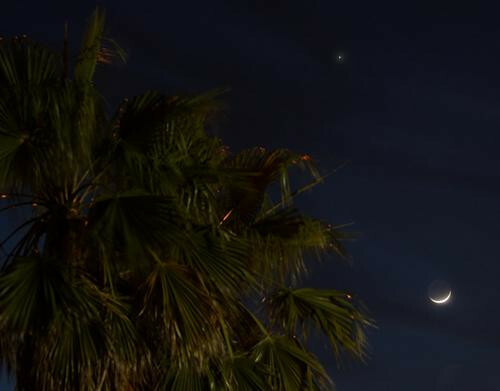 Lua, Vênus e Palmeira