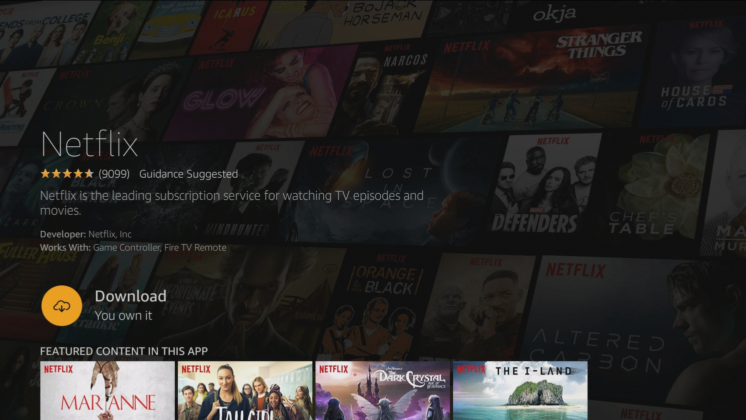 Amazon Fire Stick TV Netflix herunterladen