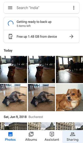 整理 Google 照片