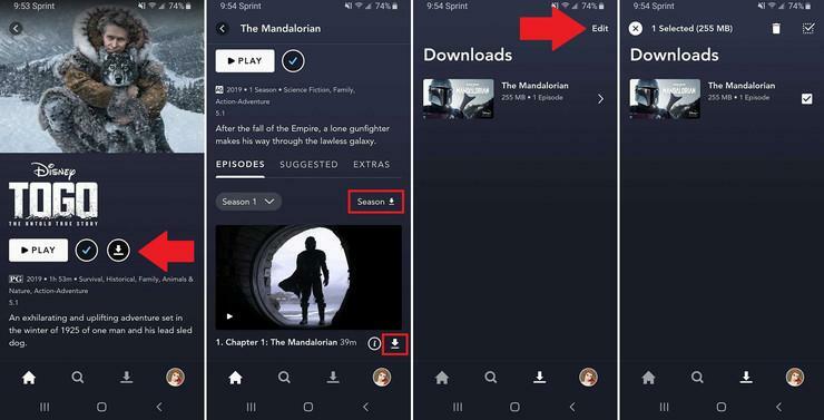 Transferências Disney+