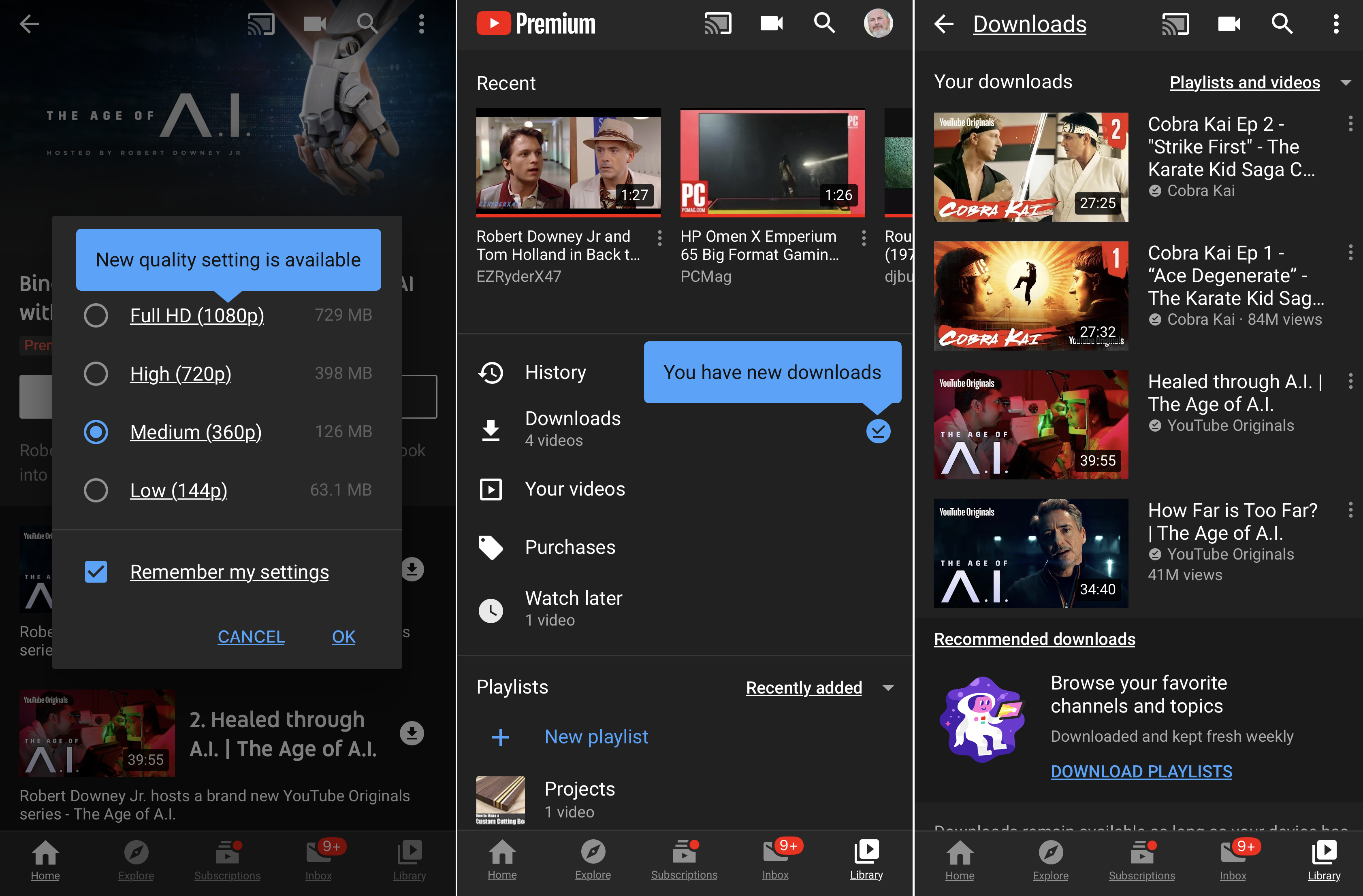 Downloads de vídeos do YouTube Premium