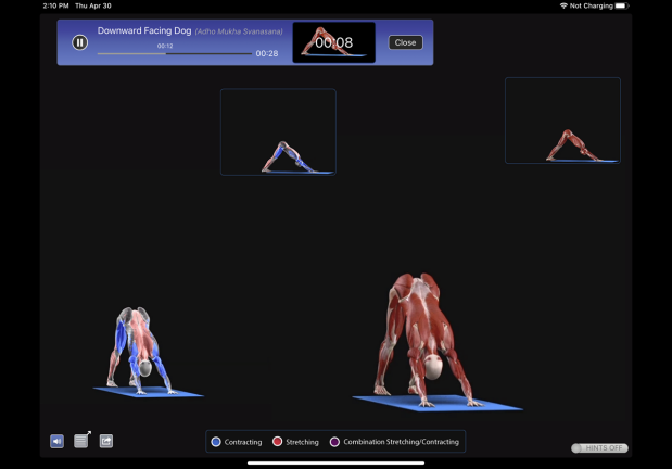 iYoga 高级版