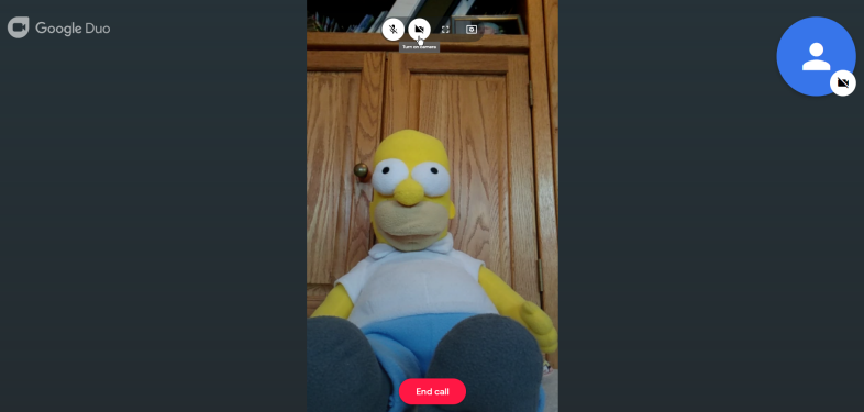 Rozmowa wideo w sieci
