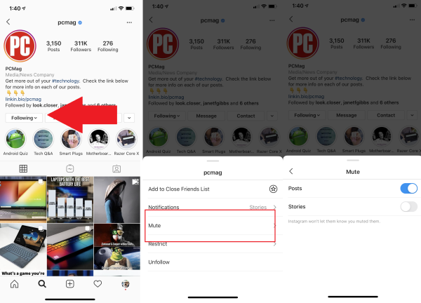 Schalten Sie Instagram-Posts, Stories oder beides stumm