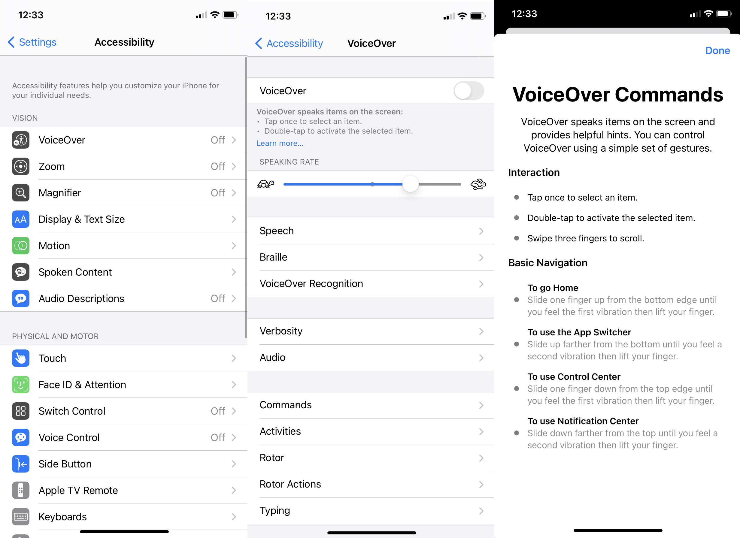 Screenshot der Voiceover-Einstellungen von Apple