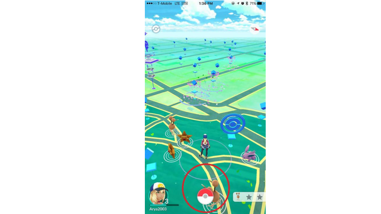Pokeball 101