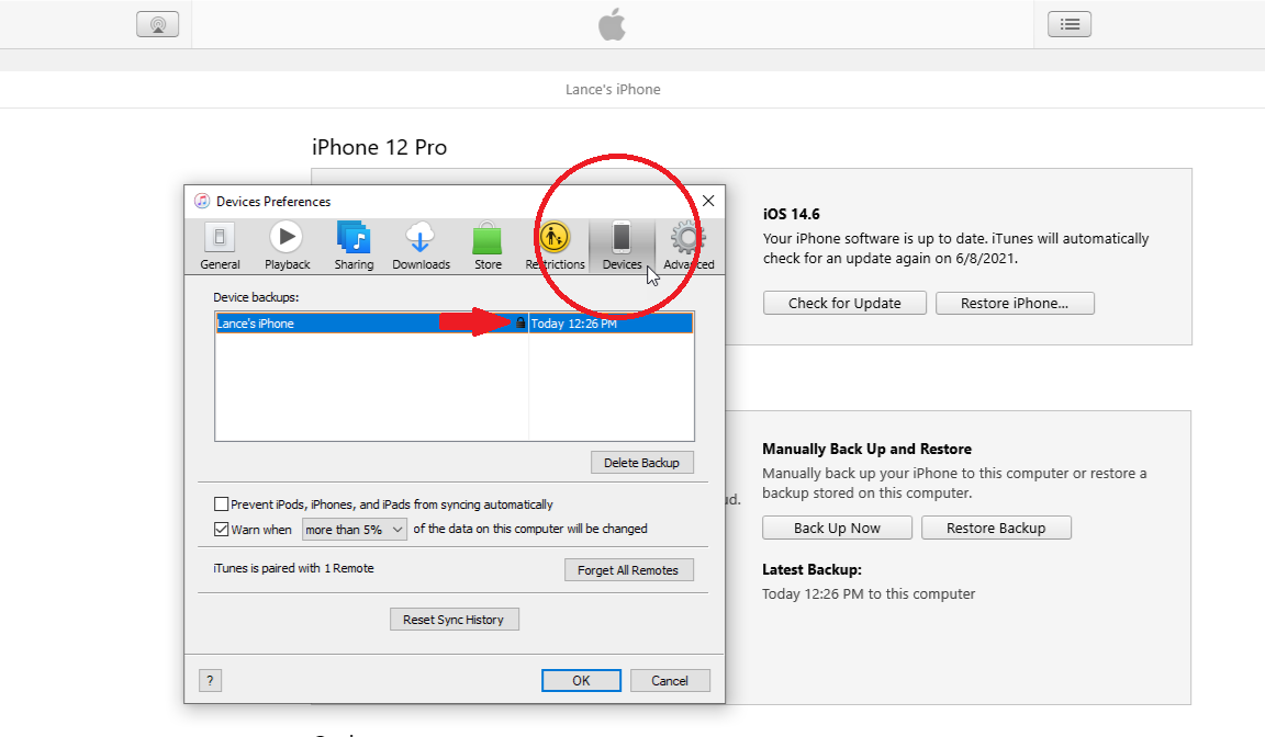 backup iTunes