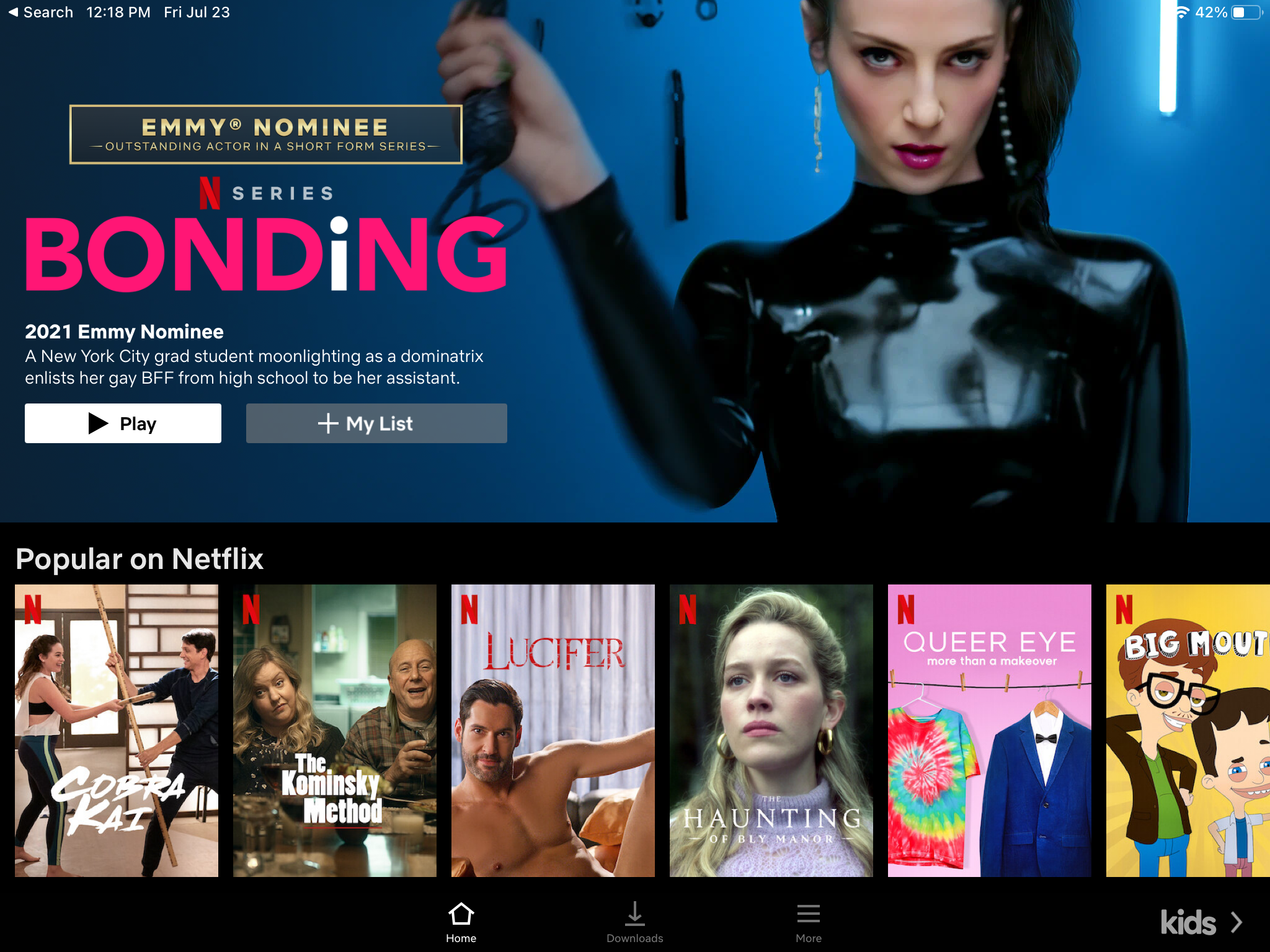 tangkapan layar laman landas emmy netflix di iPad